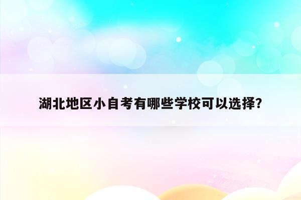 湖北地区小自考有哪些学校可以选择？